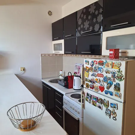 Apartment Cvet Exit 2024